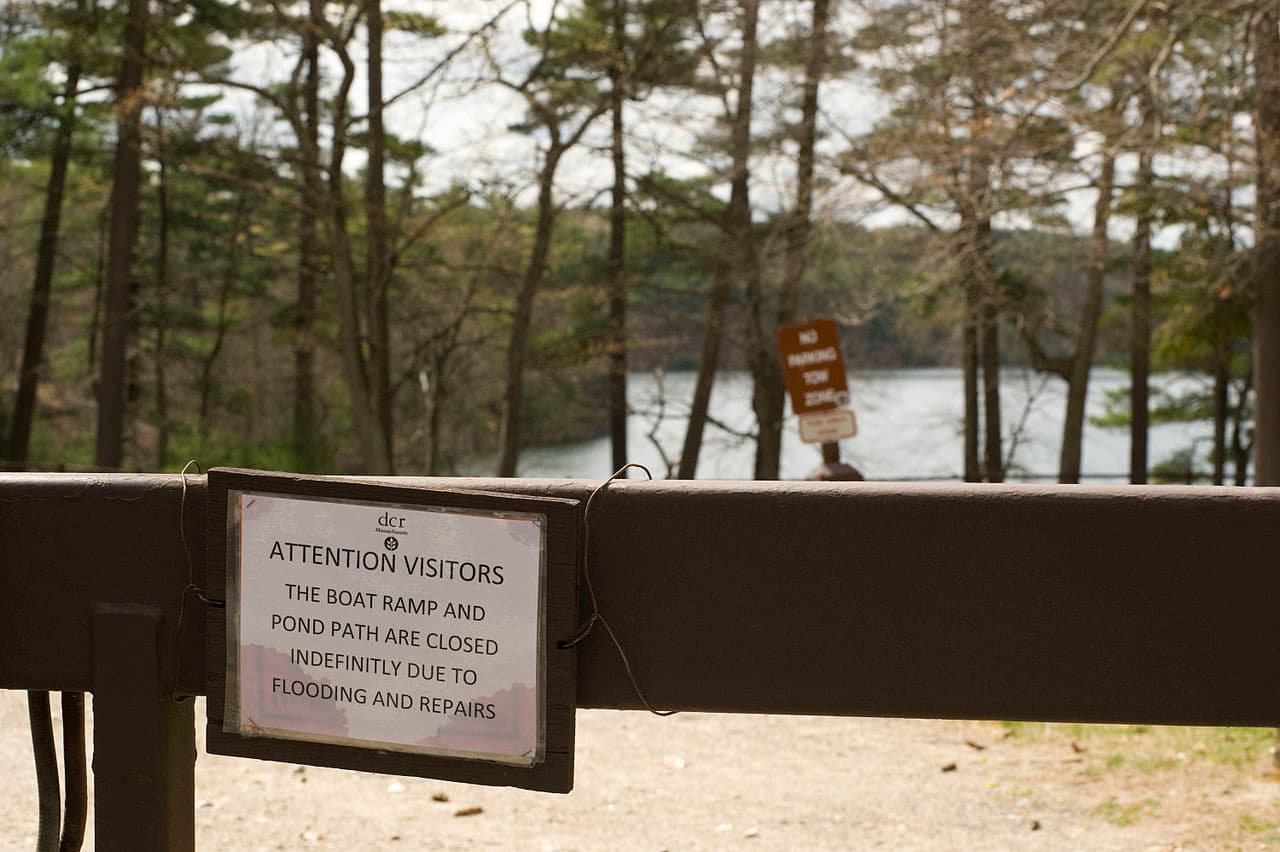 Walden Pond