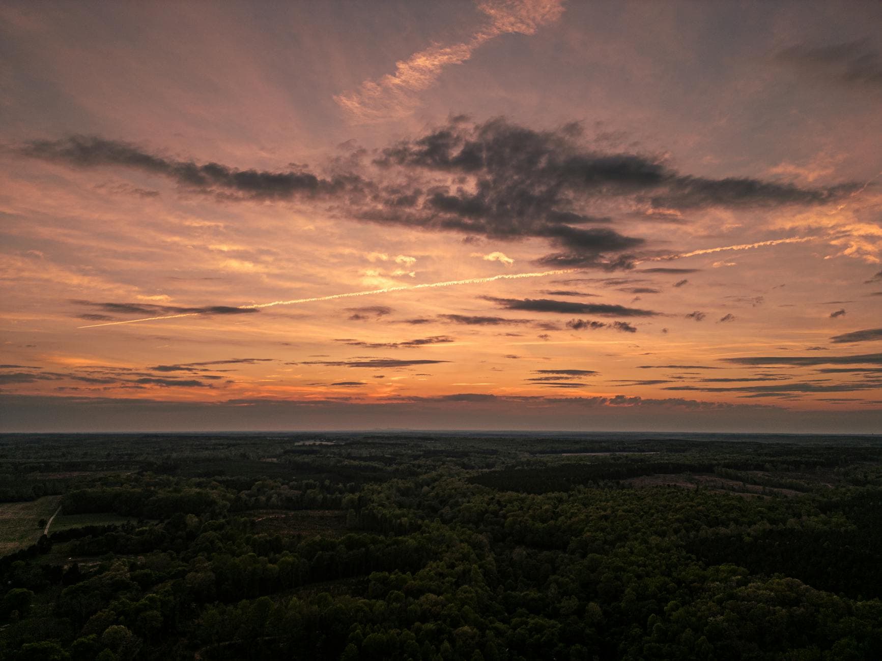Greensboro area