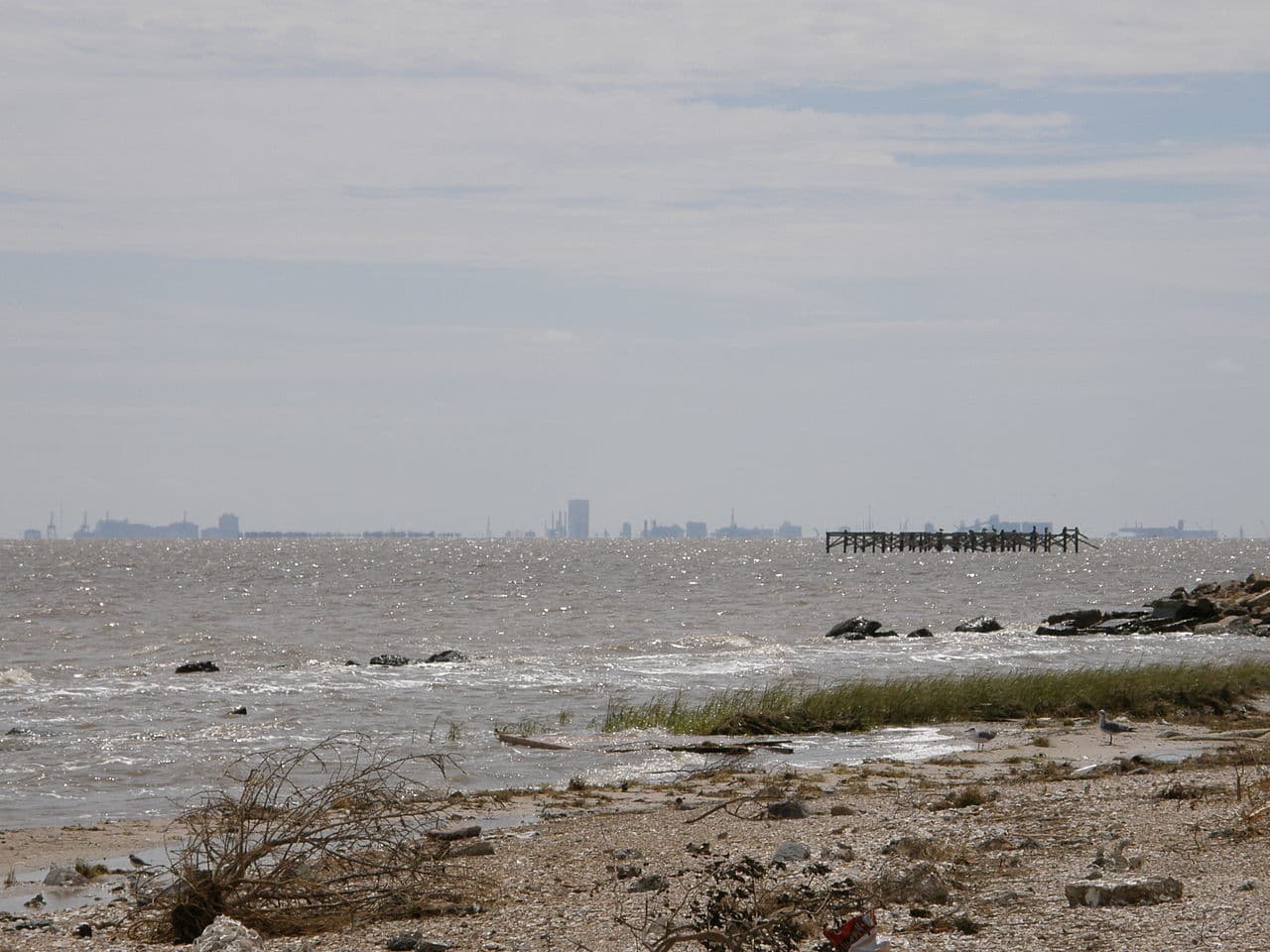 Galveston