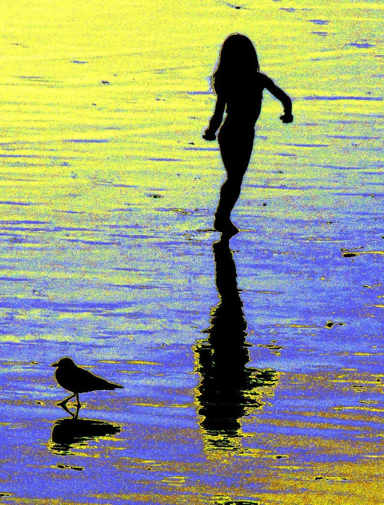 West Beach