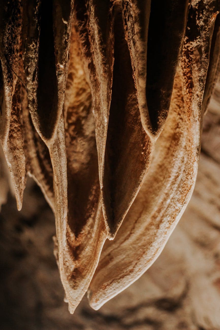 Longhorn Caverns