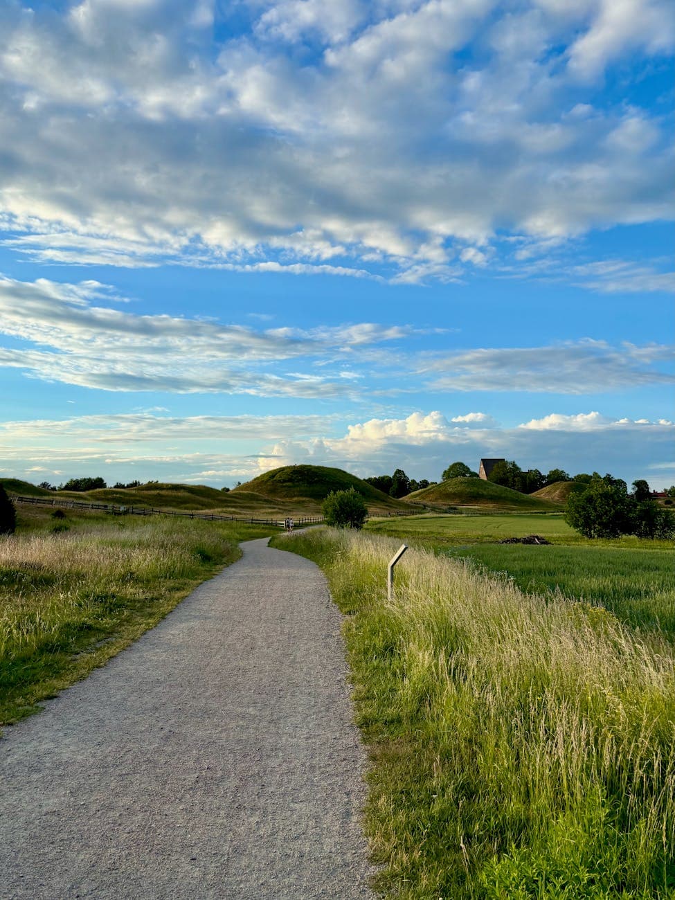 Ocmulgee Mounds NHP