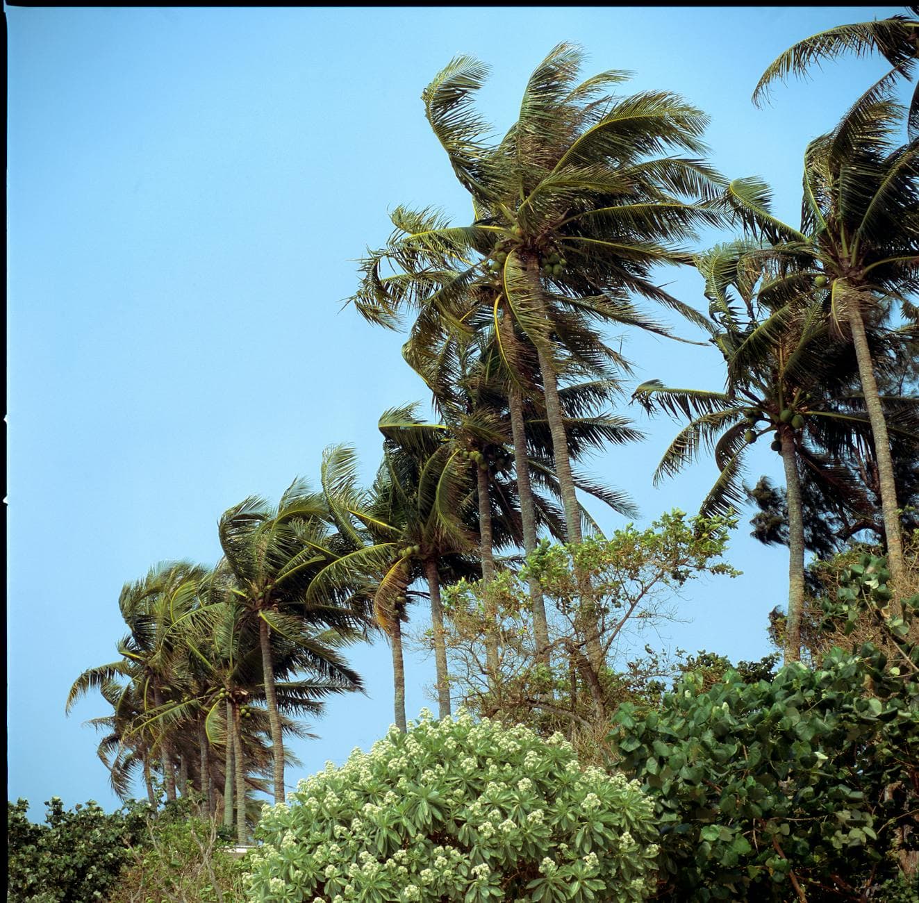 Palm Beach area