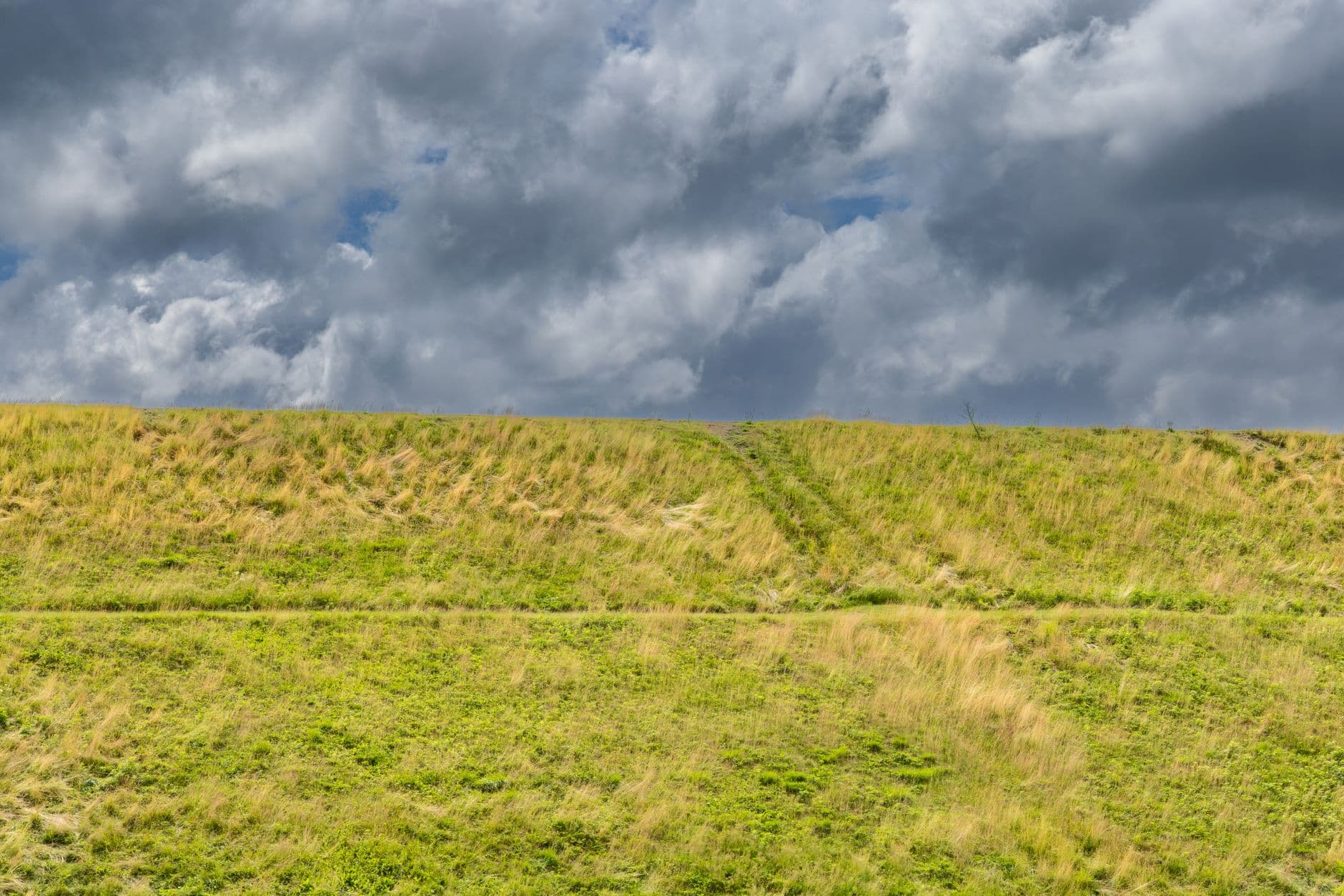Cole's Hill