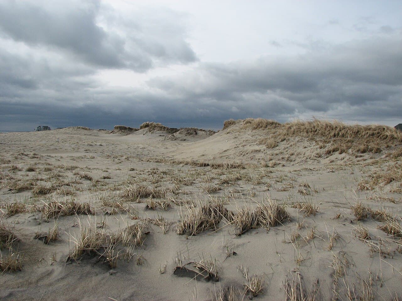 Hampton Beach