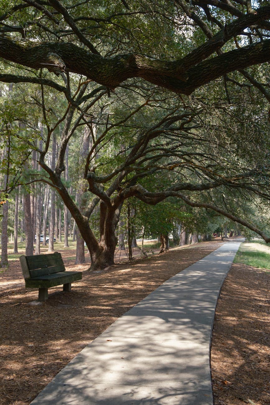 Cameron Park