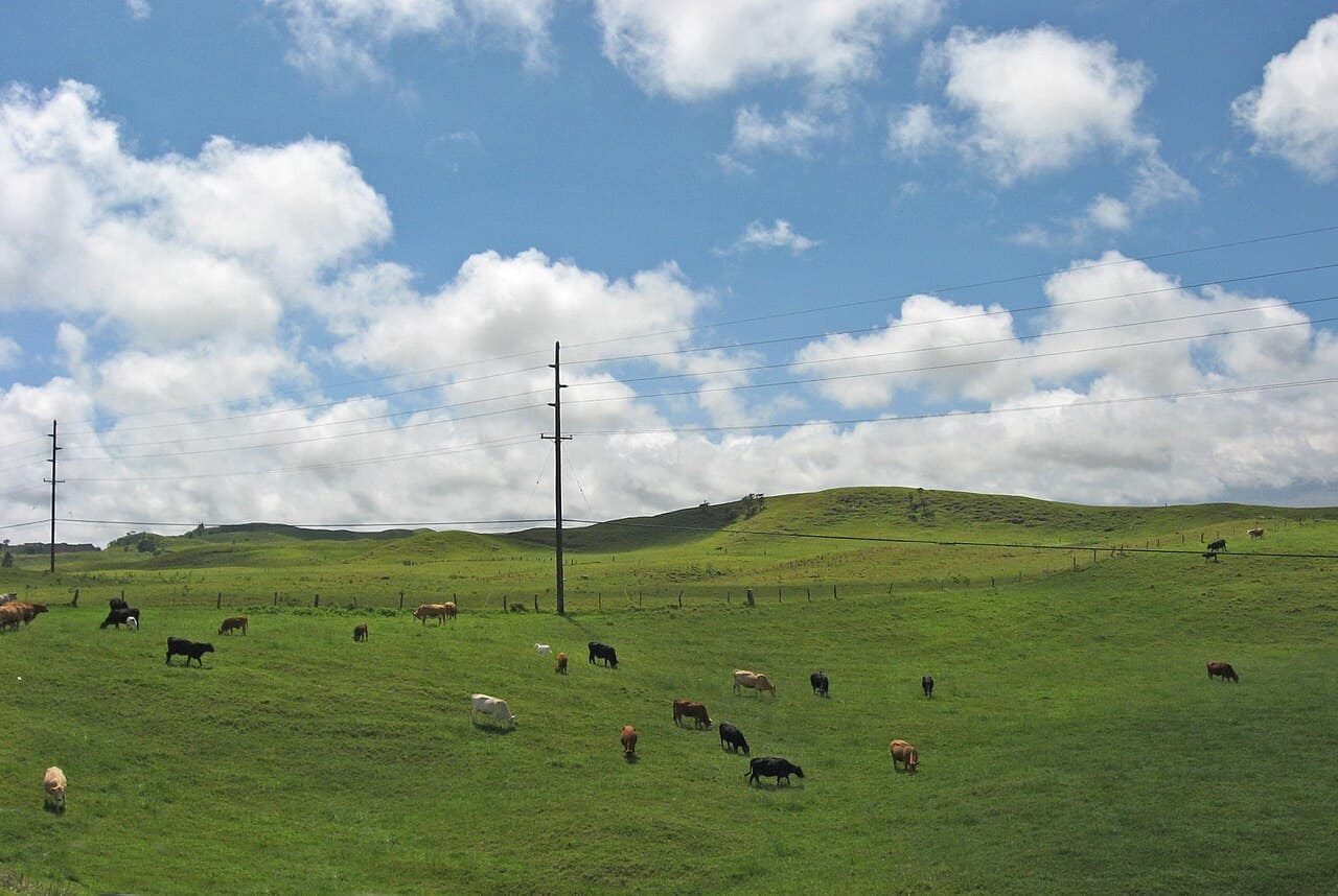 Waimea, Hawaii