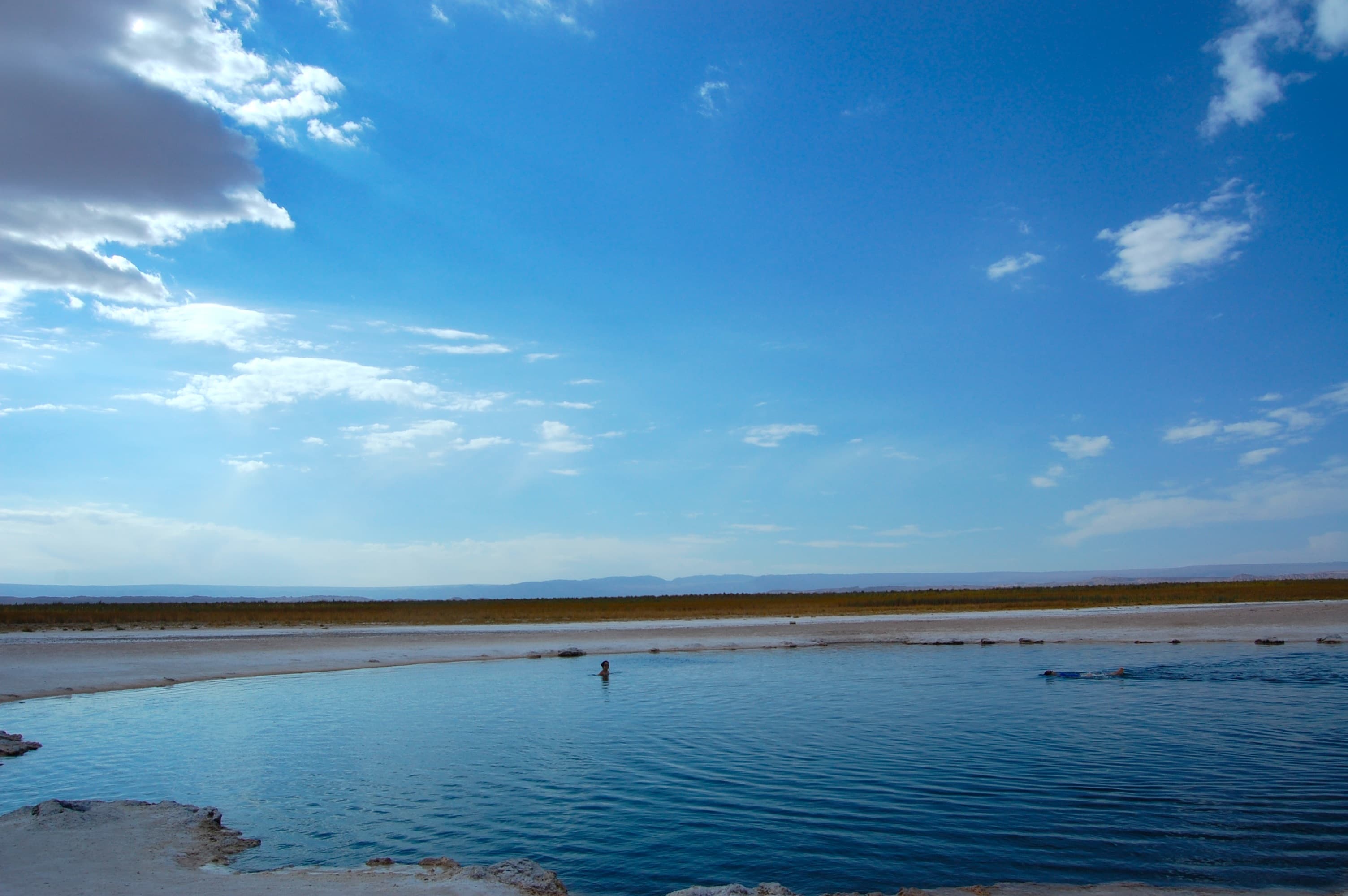 Laguna Cejar (Salt Lake Floating)