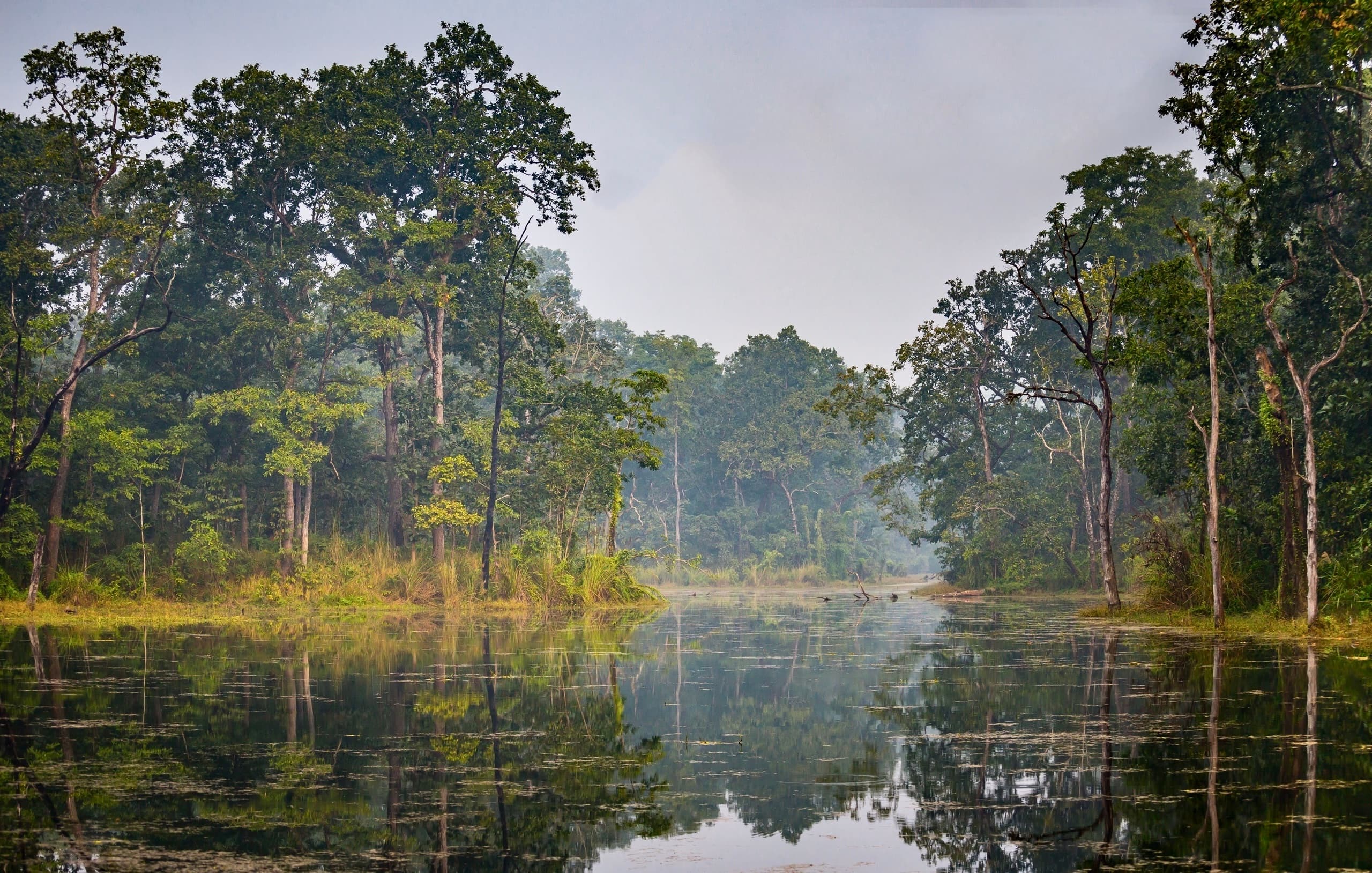 Chitwan National Park (day/overnight)
