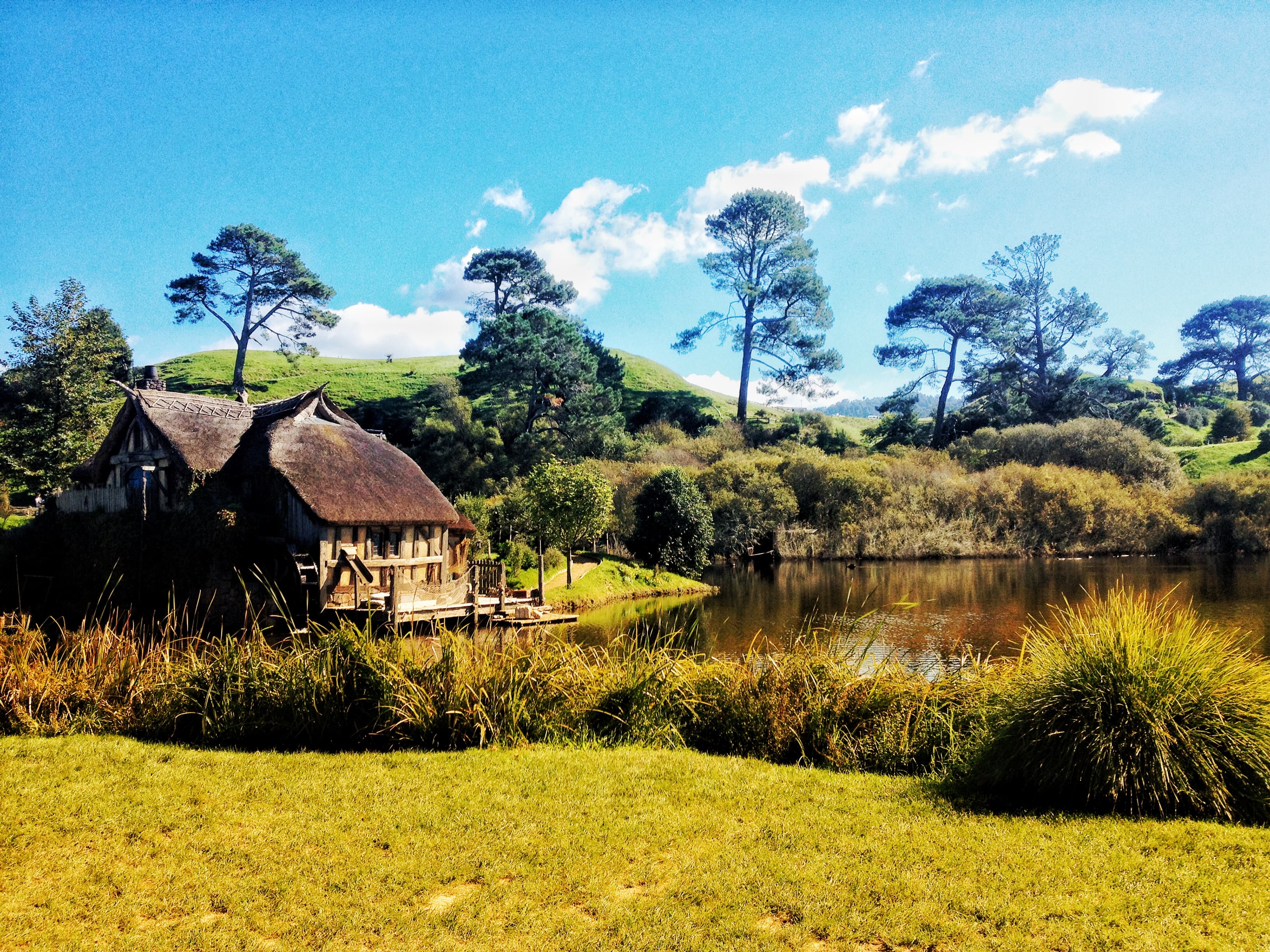 Hobbiton Movie Set (nearby Matamata)
