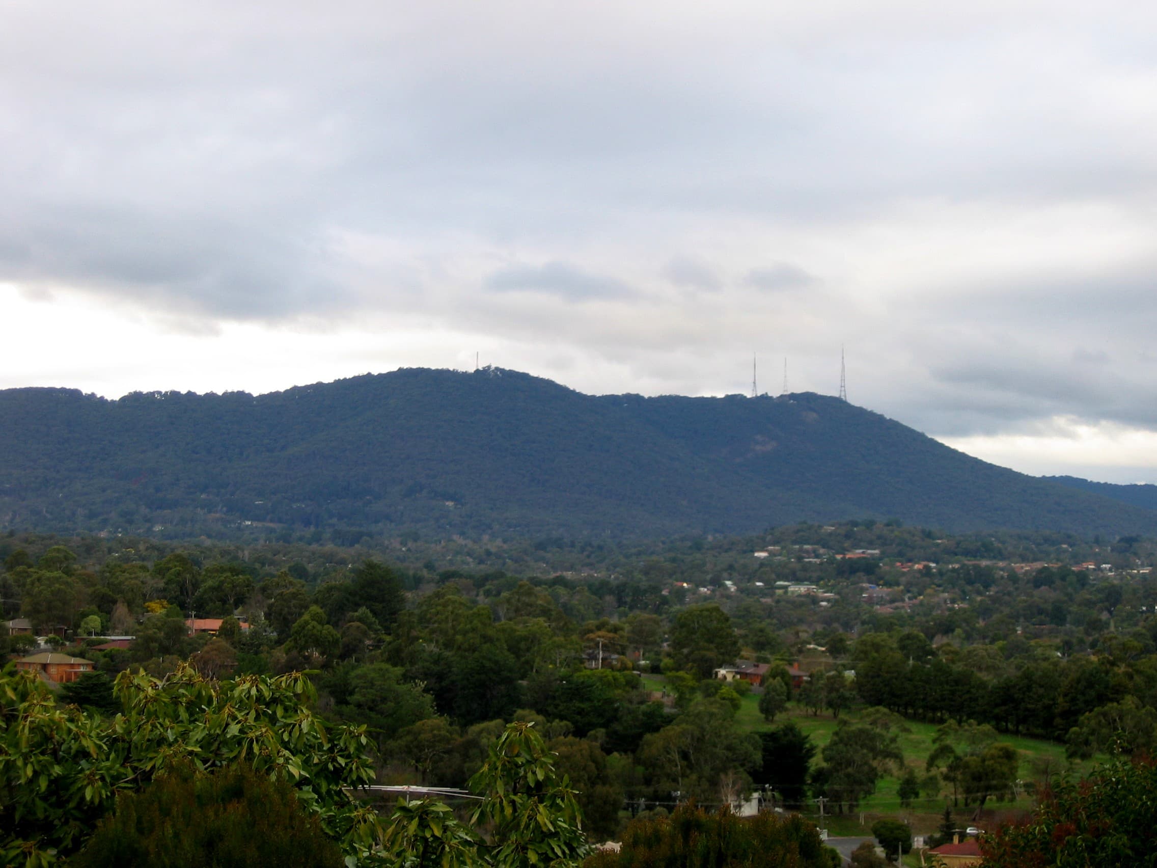 Dandenong Ranges (day trip)