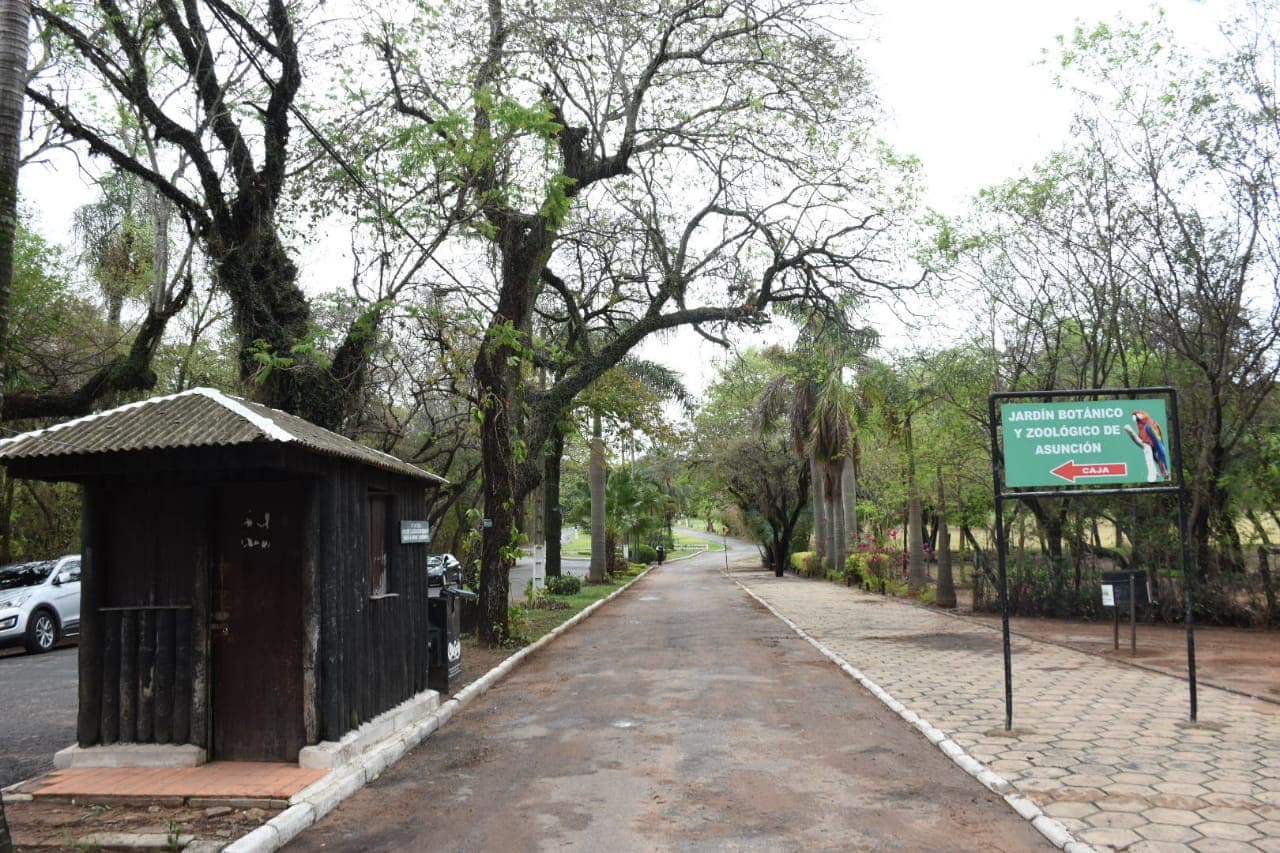 Asunción
