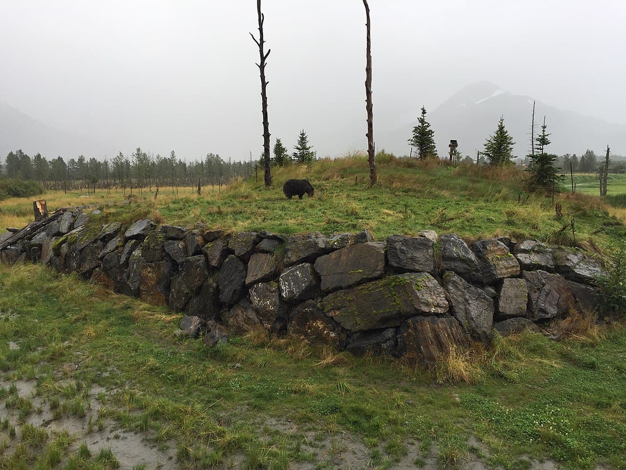 Alaska Wildlife Conservation Center