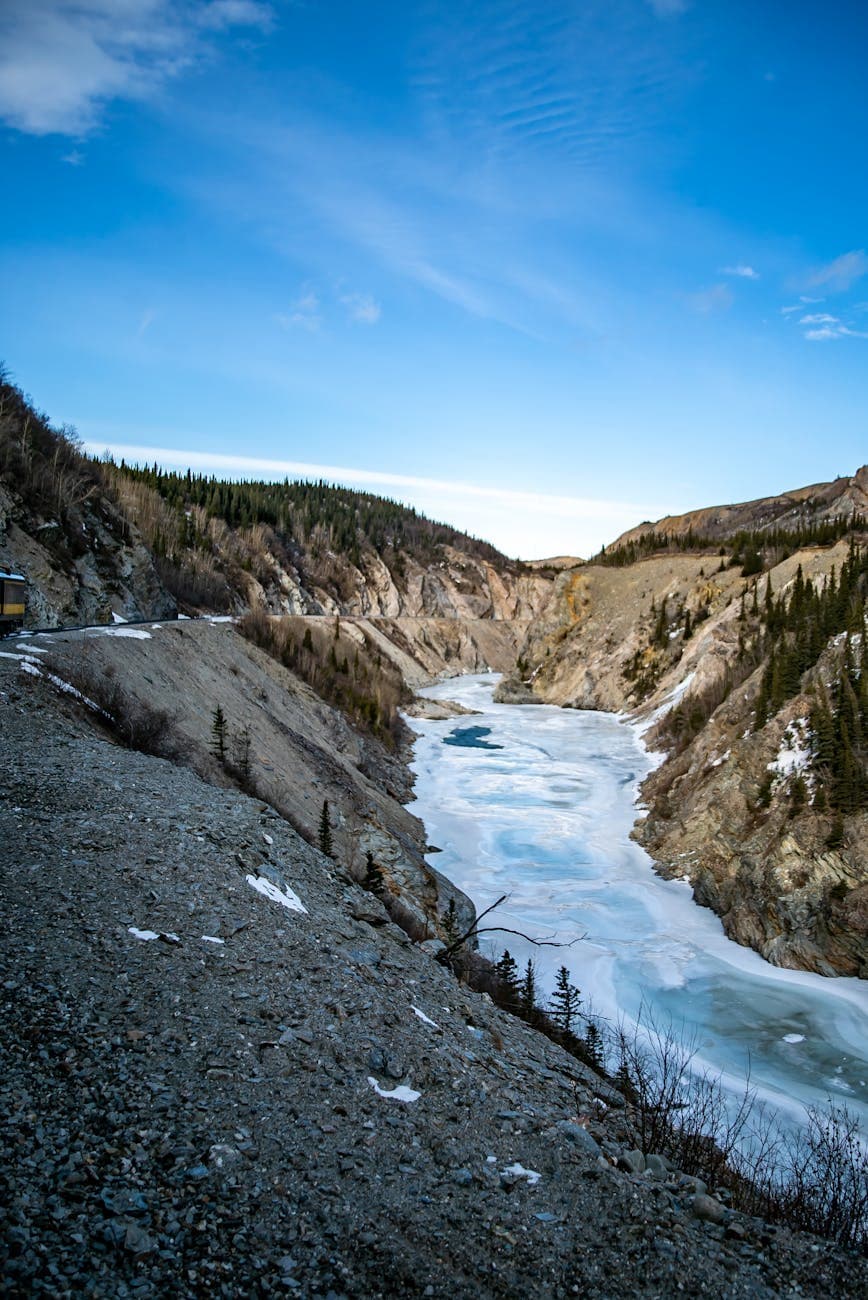 Denali National Park (day/overnight)
