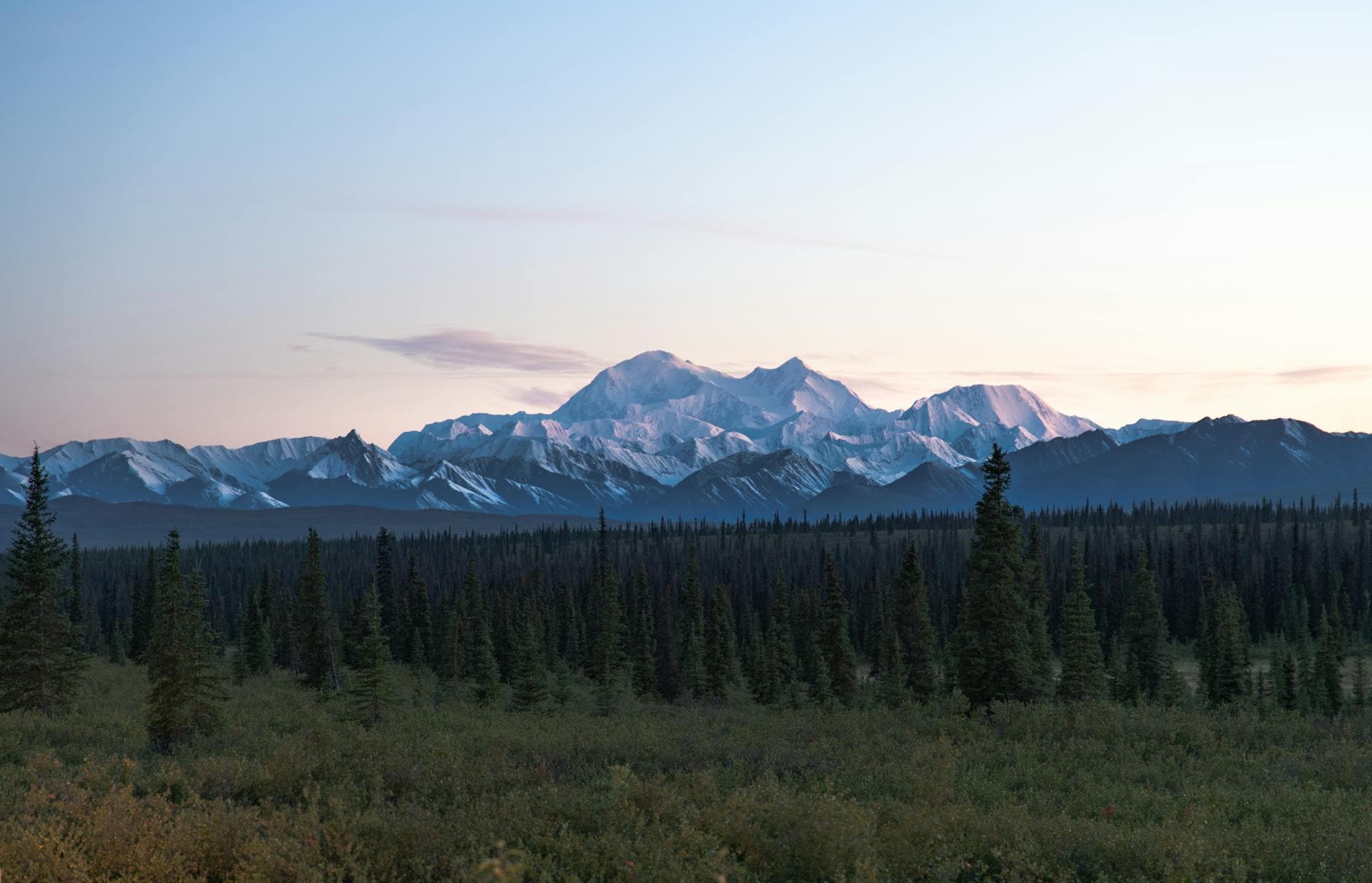 Denali National Park (day/overnight)