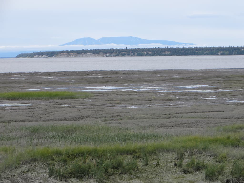 Tony Knowles Coastal Trail