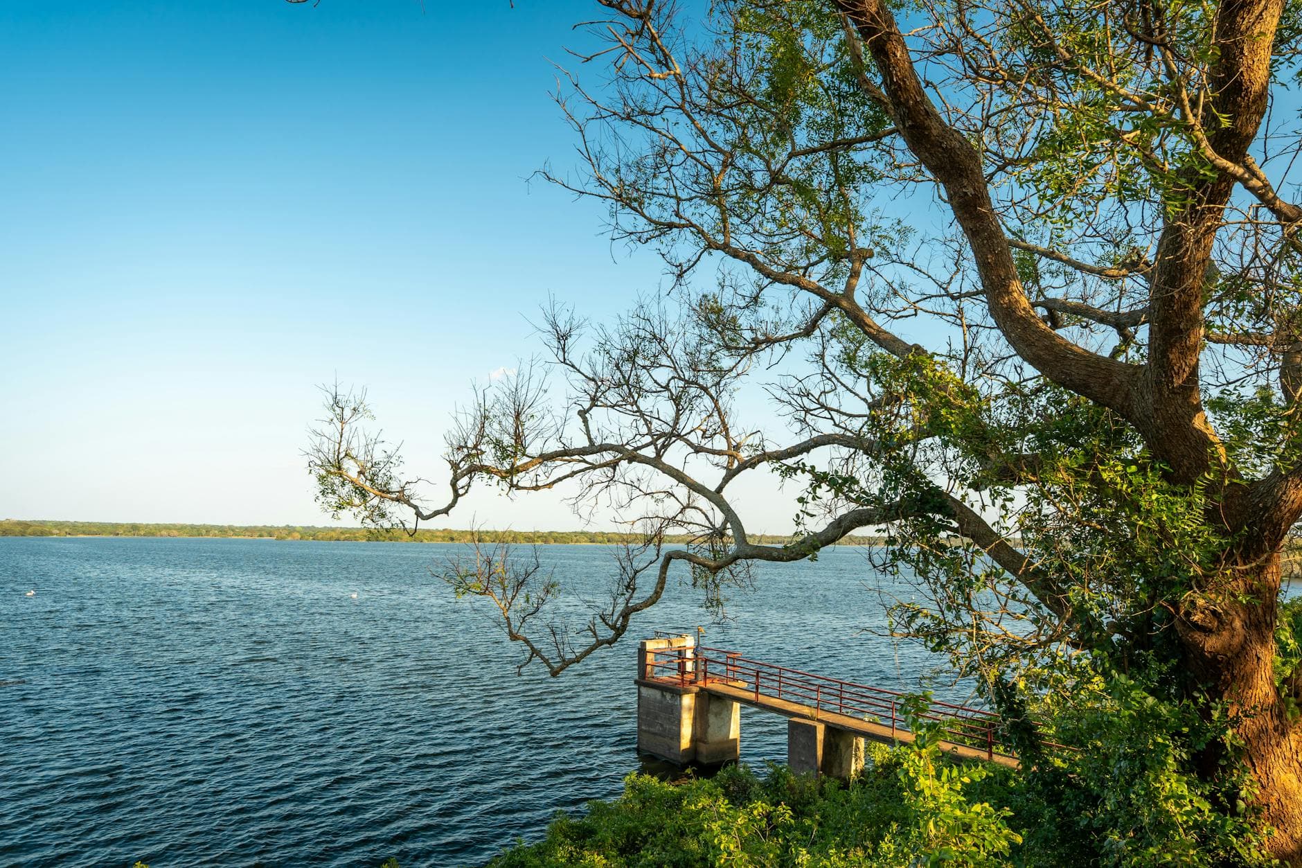 Lake of the Arbuckles