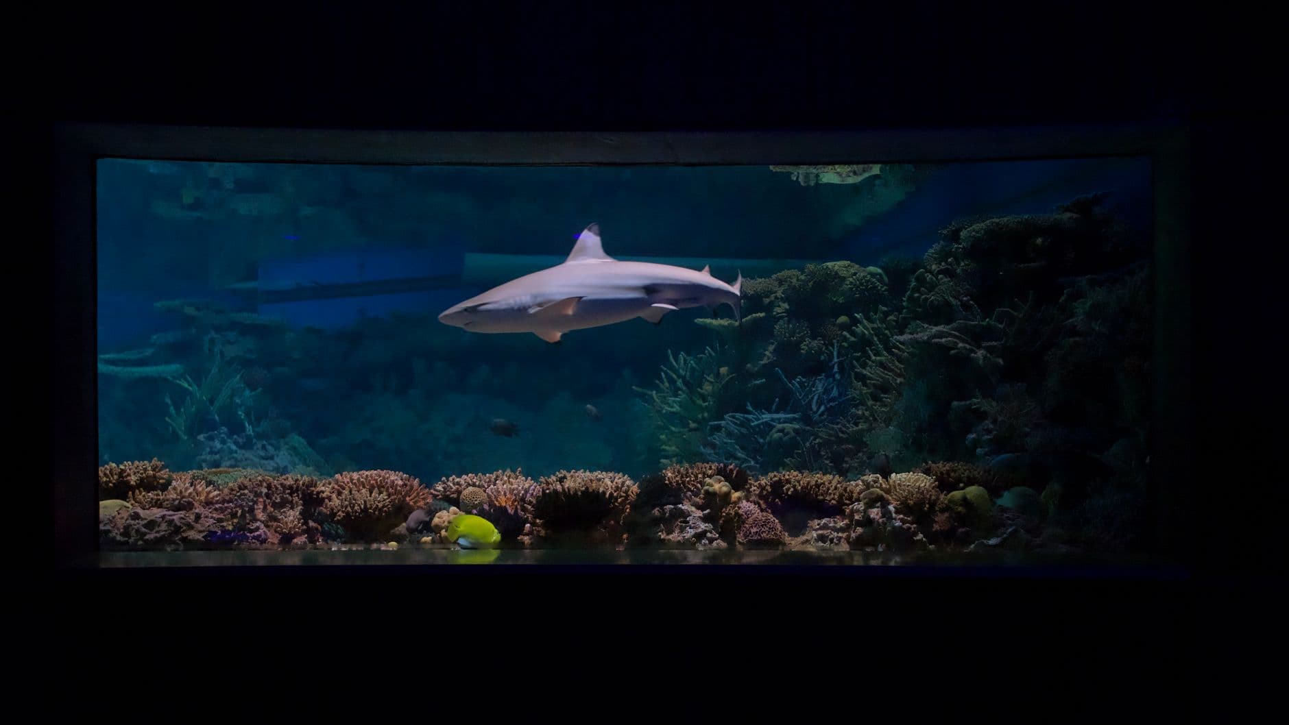National Aquarium