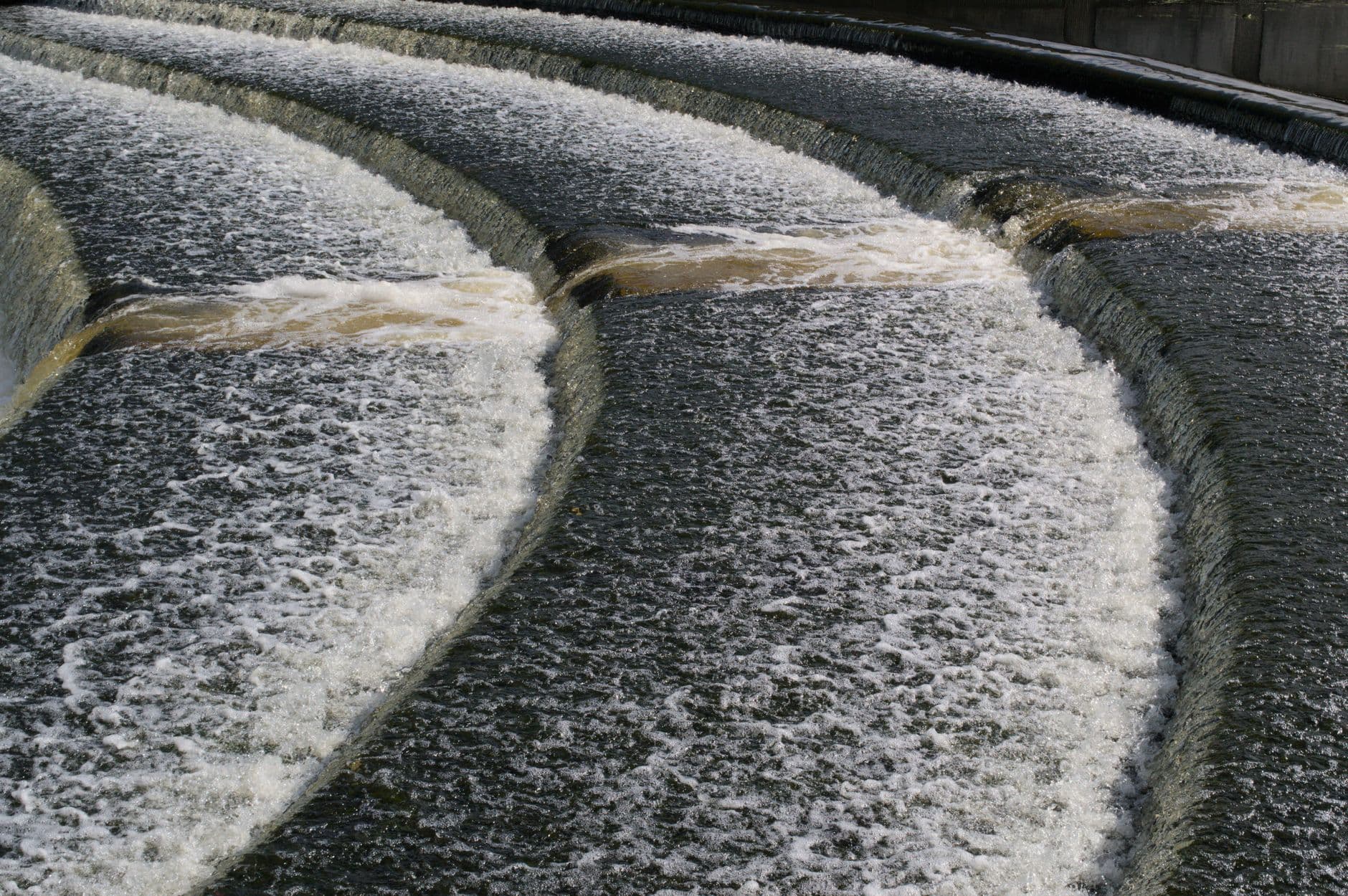 Weir Historic Site & East Orrington Salmon Pool