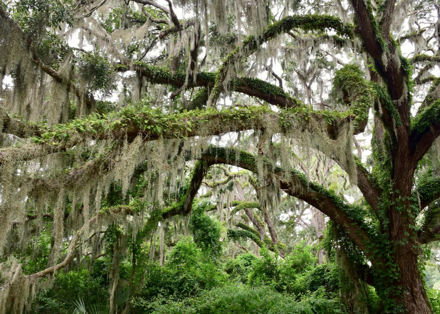 Big Thicket NP