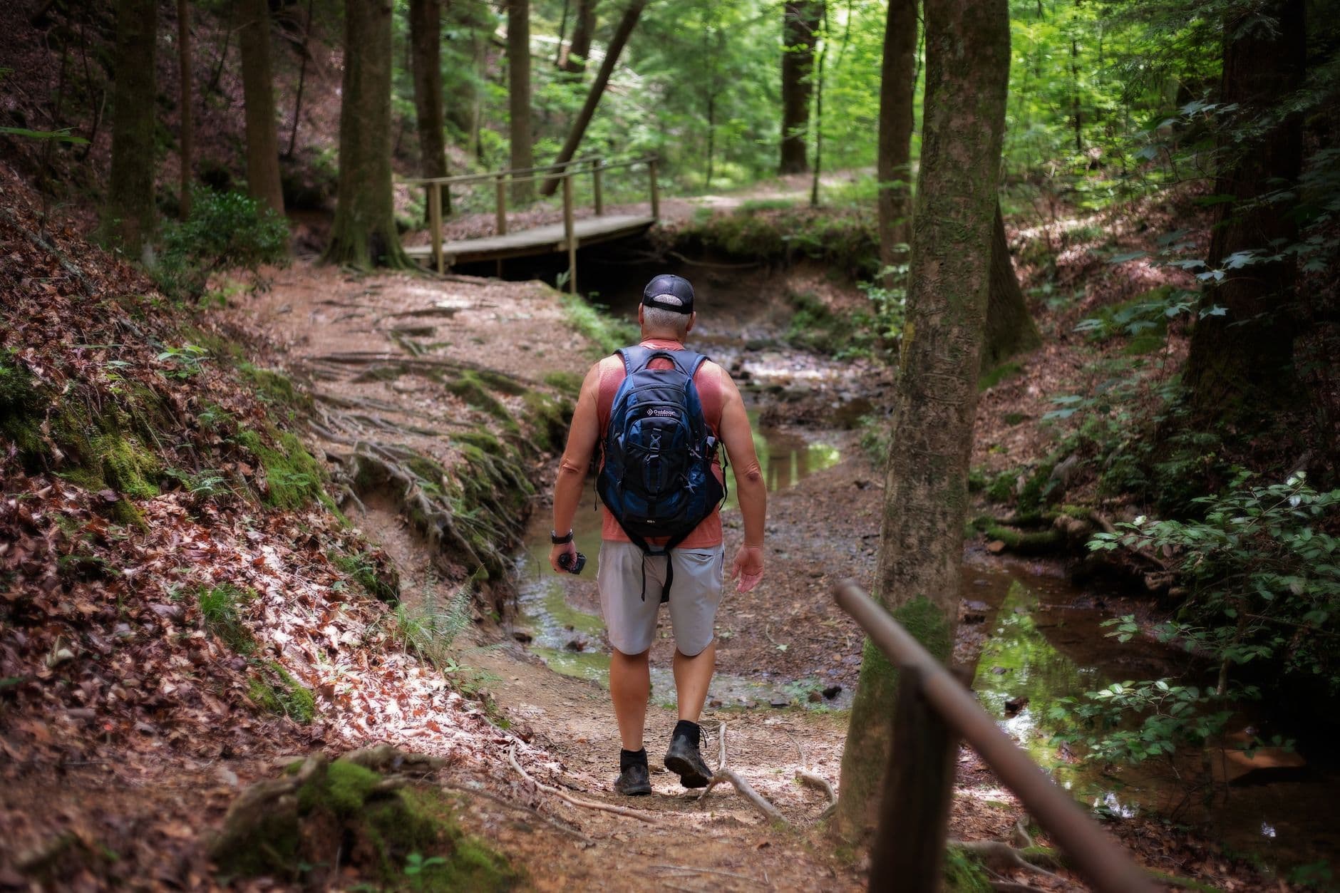 Brock's Gap Trail at Oak Mountain