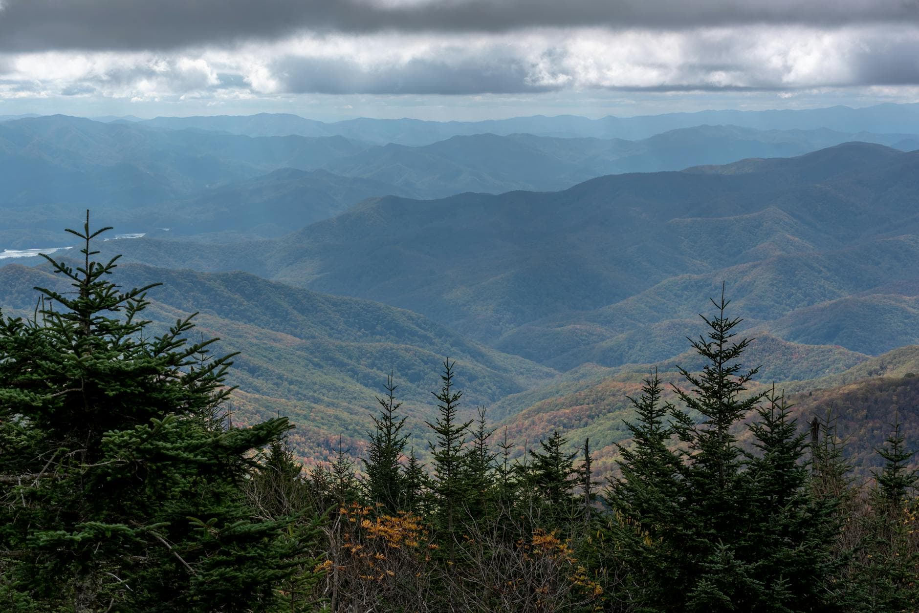 Brasstown Bald