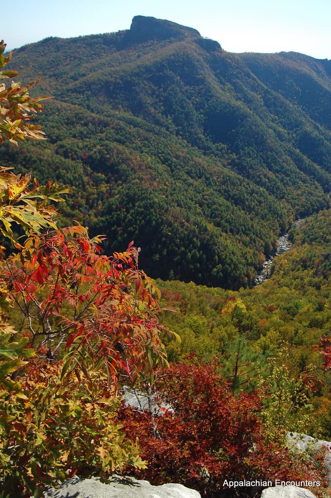 Blue Ridge Parkway (NC sections)