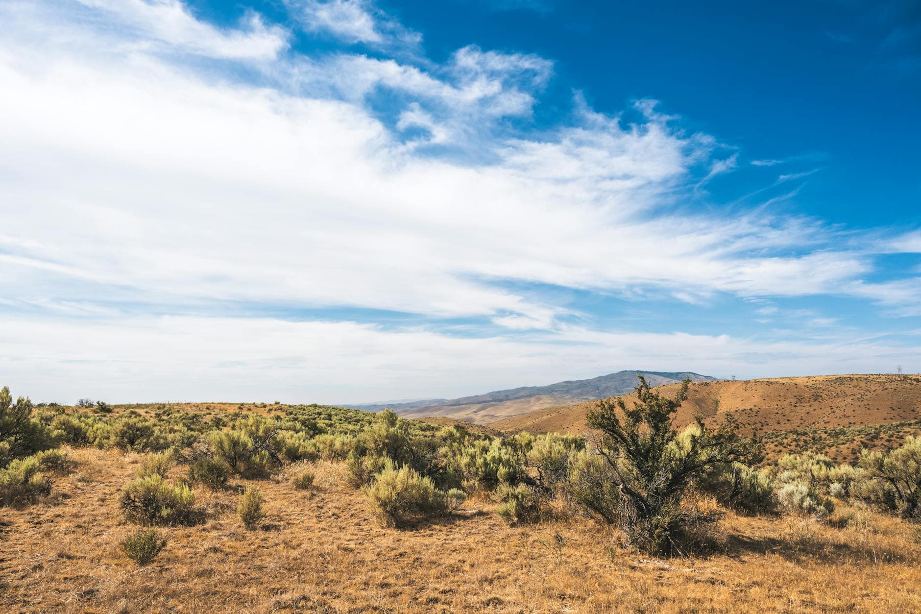Bogus Basin (summer)
