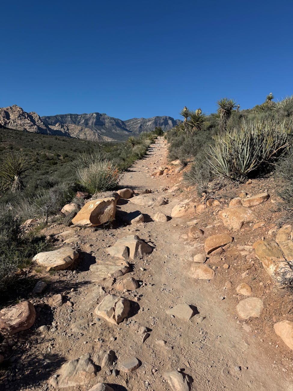 NCAR (hiking trails)