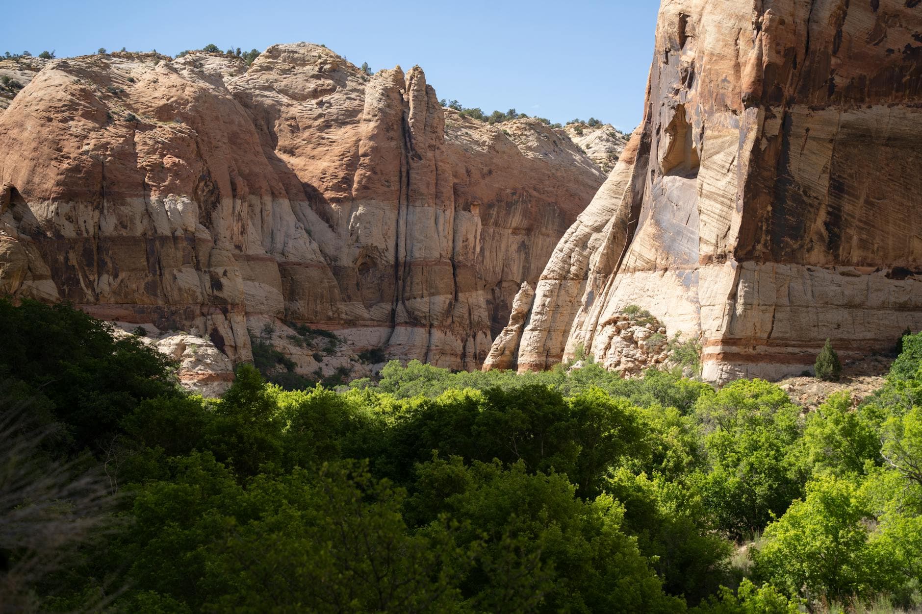 NCAR (hiking trails)