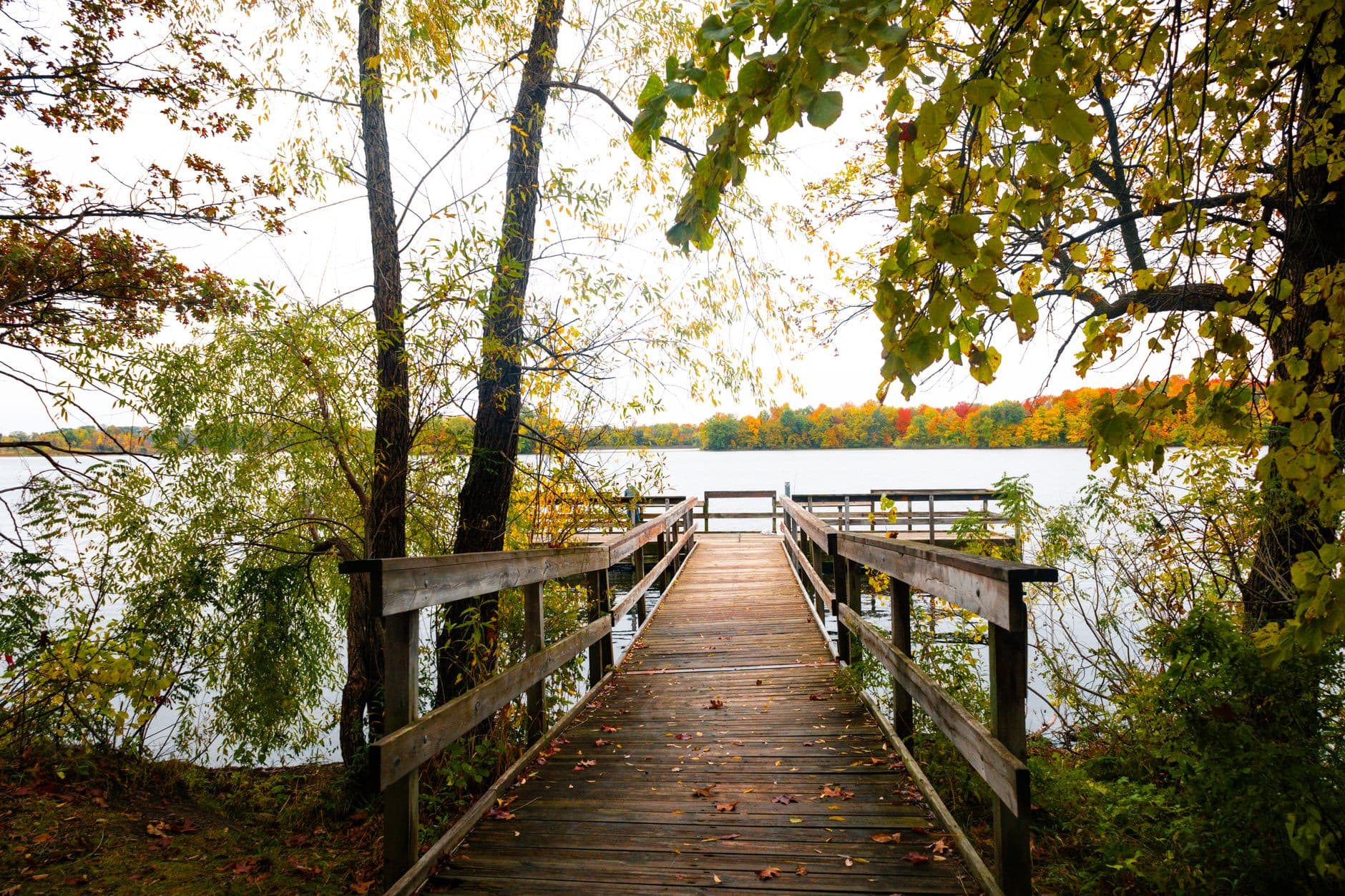 Pines, Loons, and Slow Lake Mornings: 3 Days in Brainerd with Little Ones