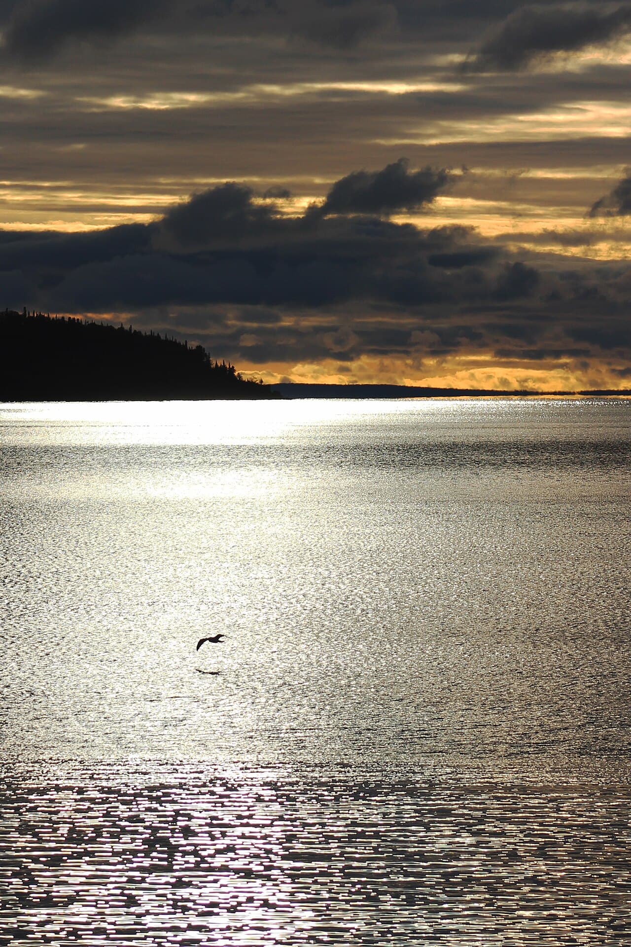 Gull Lake