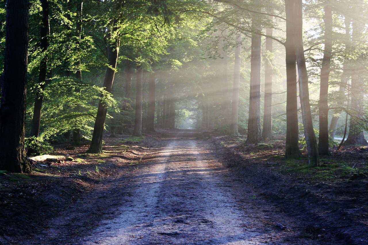 Paul Bunyan Trail