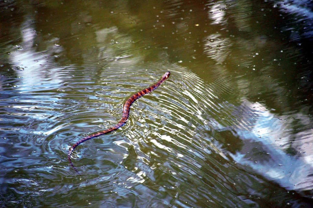 Brown County State Park