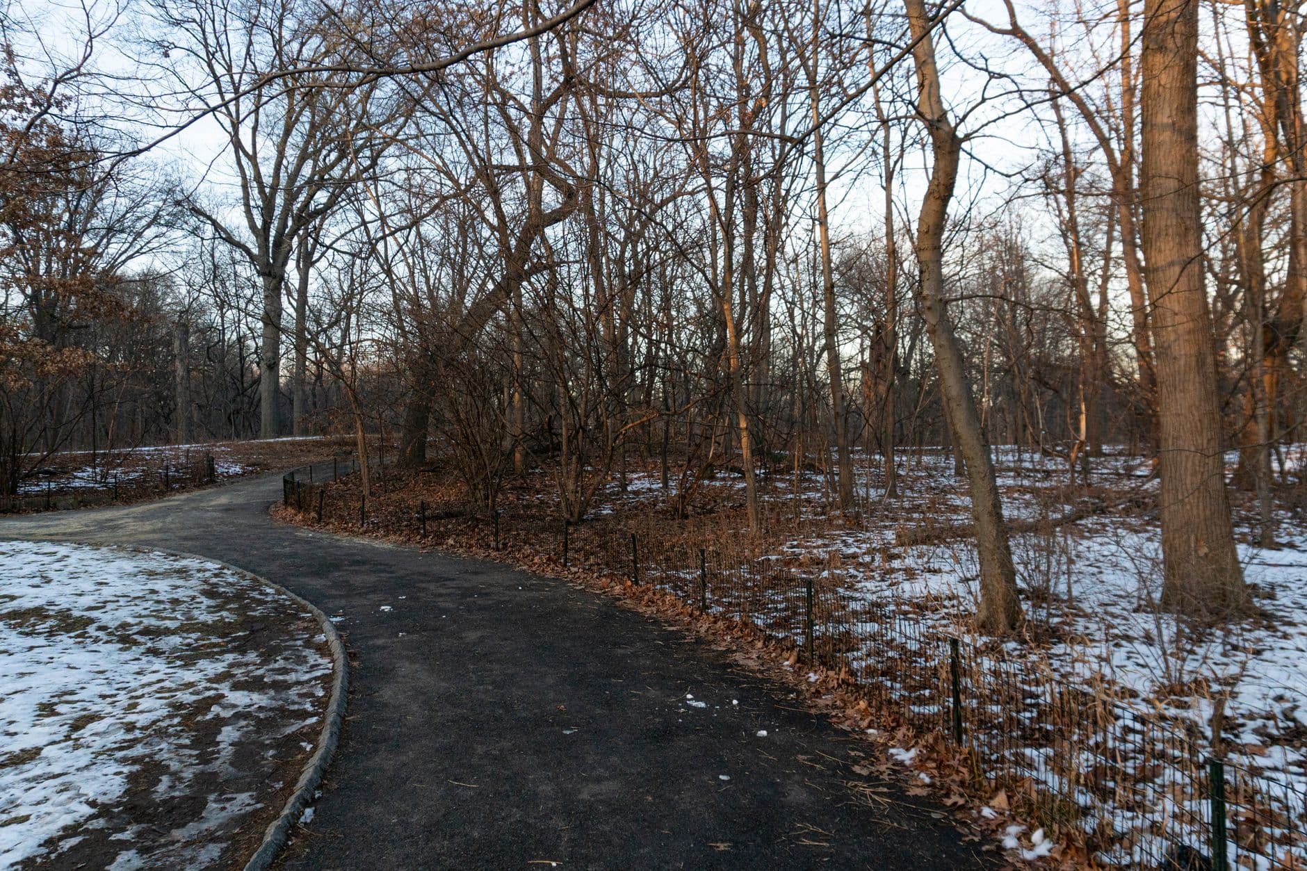 Delaware Park