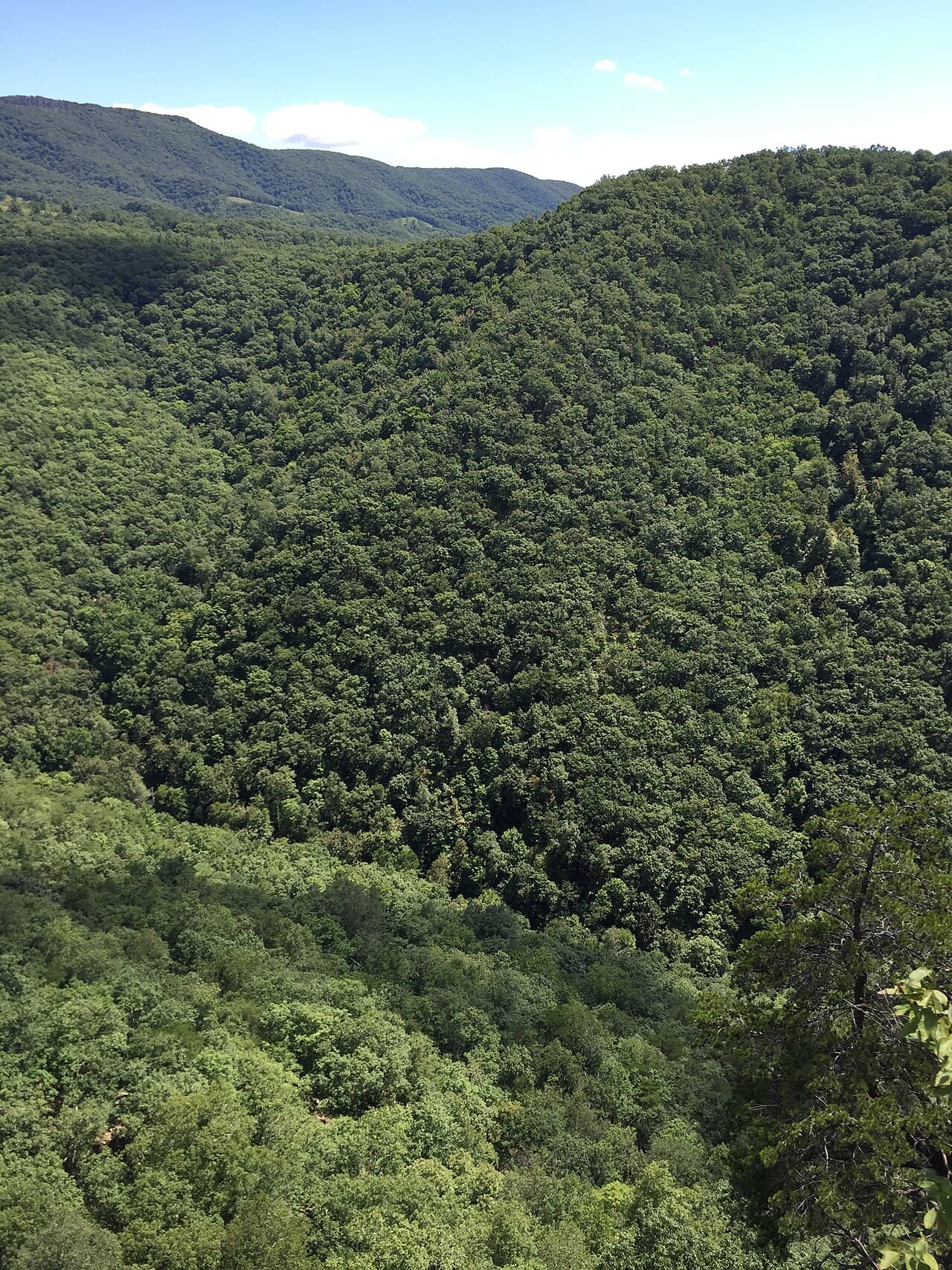 Seneca Rocks