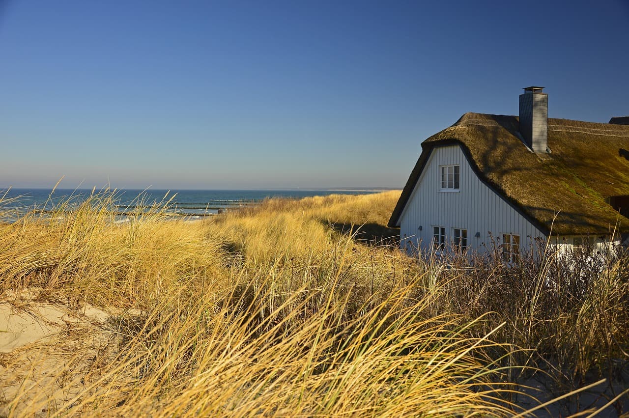 Provincetown Dunes