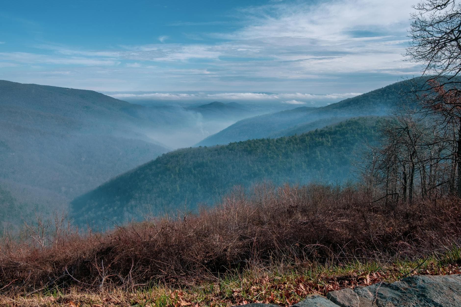 Shenandoah NP (Swift Run Gap entrance)