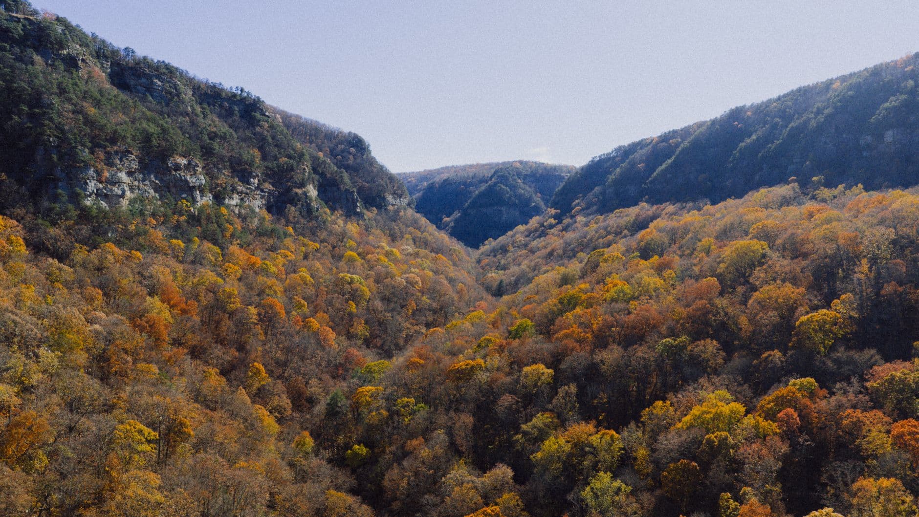 Cloudland Canyon Picnic Area & Camping