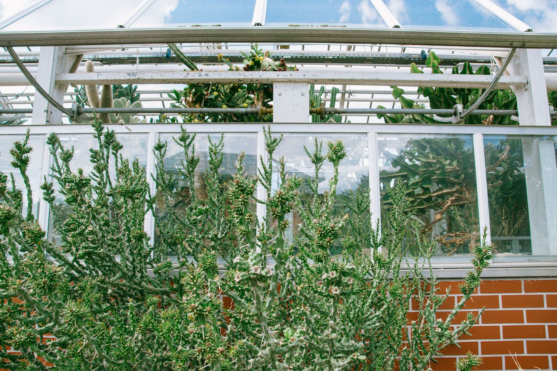 Cheyenne Botanic Gardens
