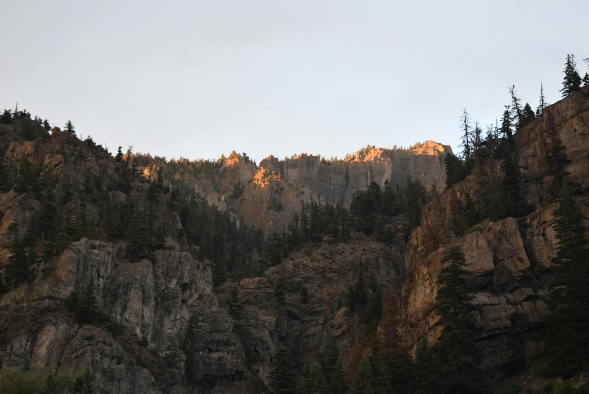Eagle Nest
