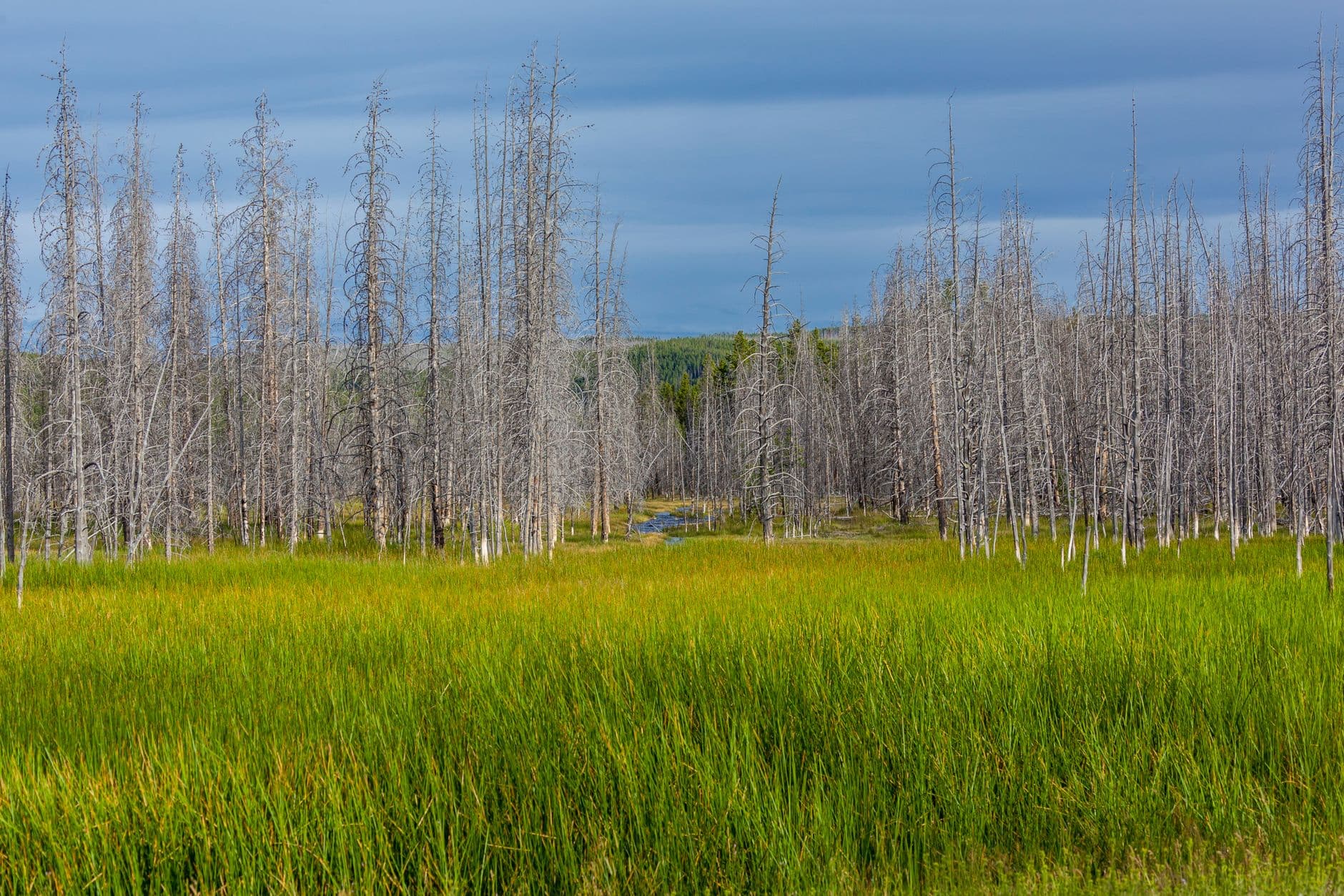 Nez Perce National Historical Park