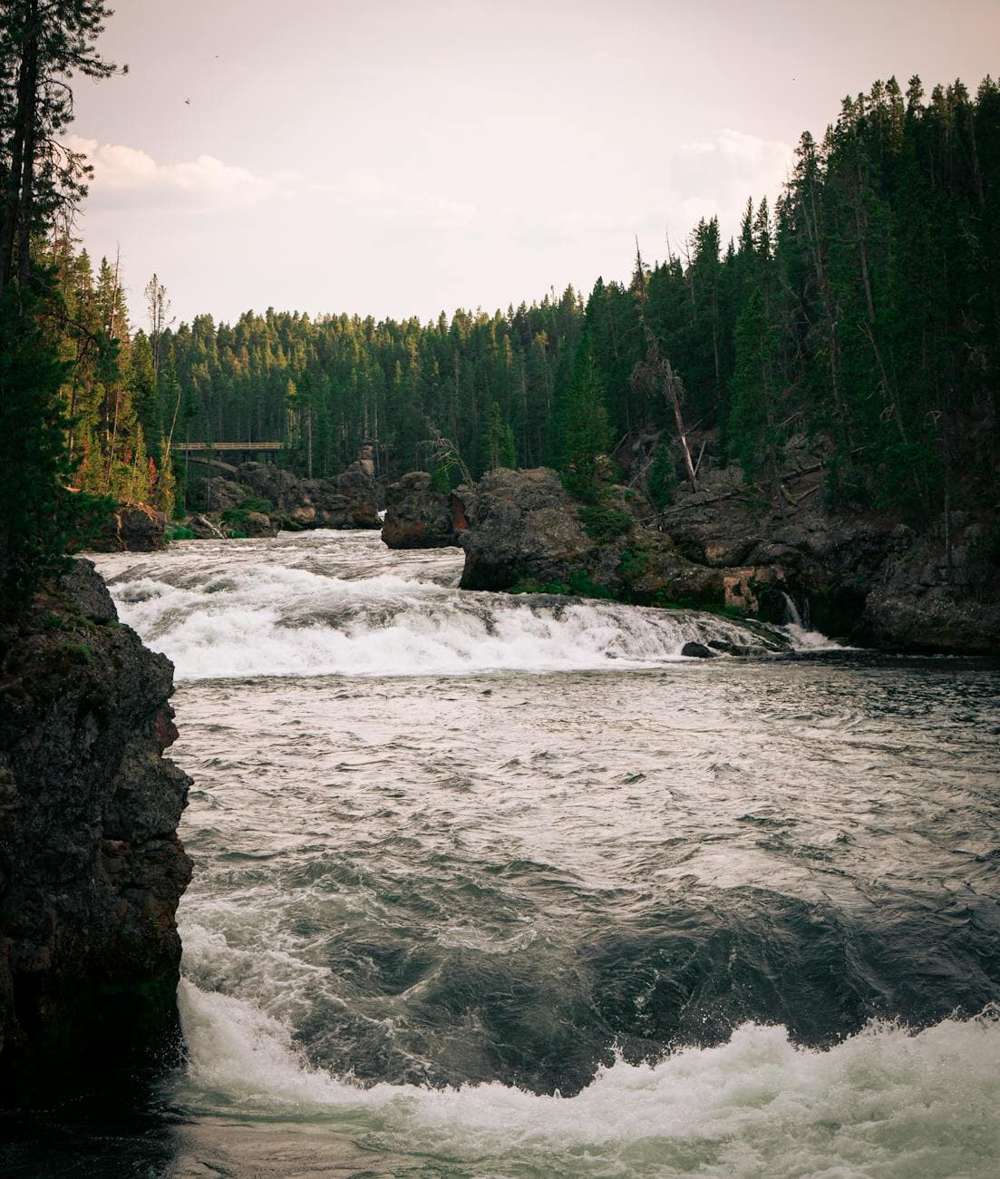 Yellowstone (East Entrance)