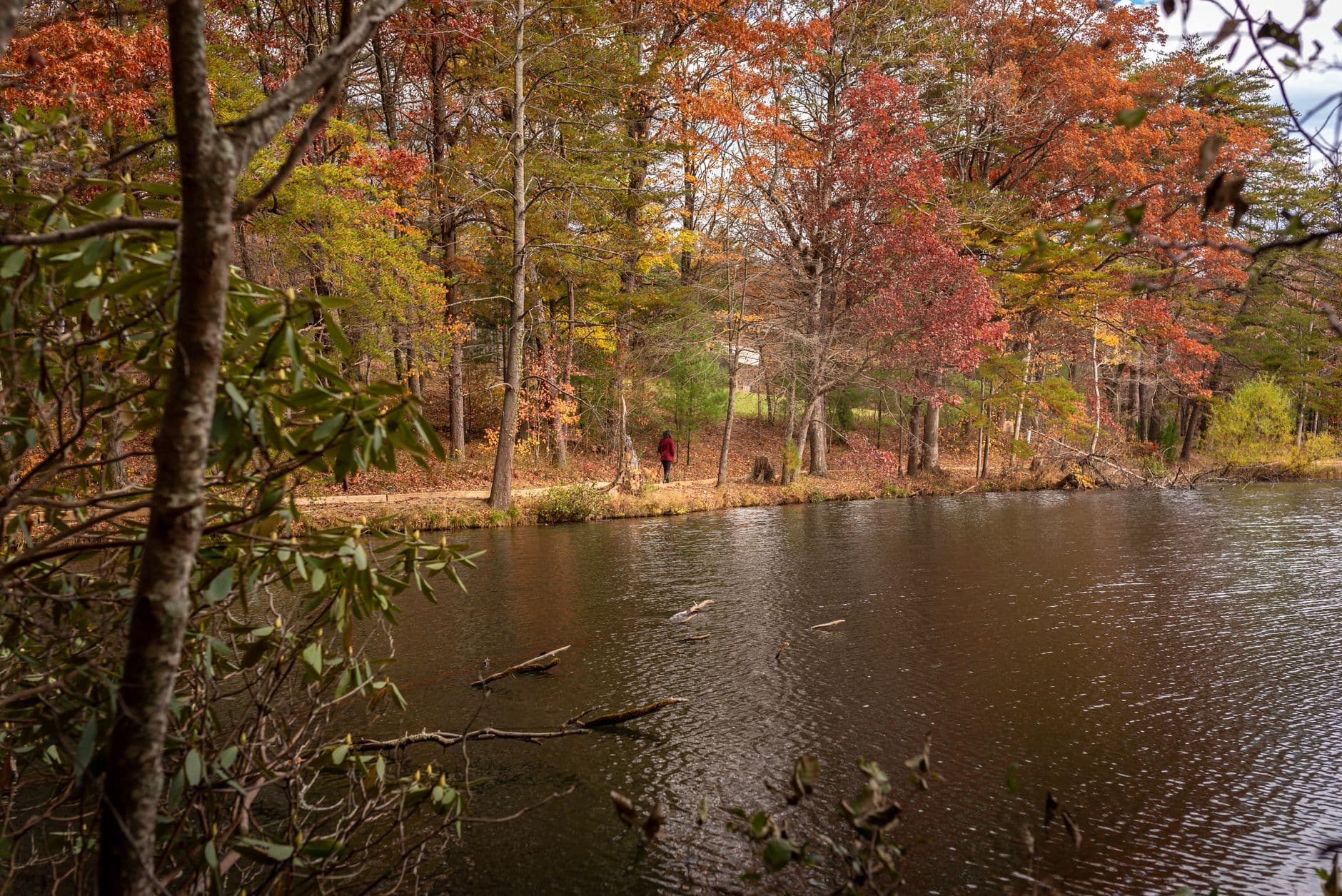 Stone Walls & Wild Water: Two Days Alone in the Cohutta — Cohutta Wilderness