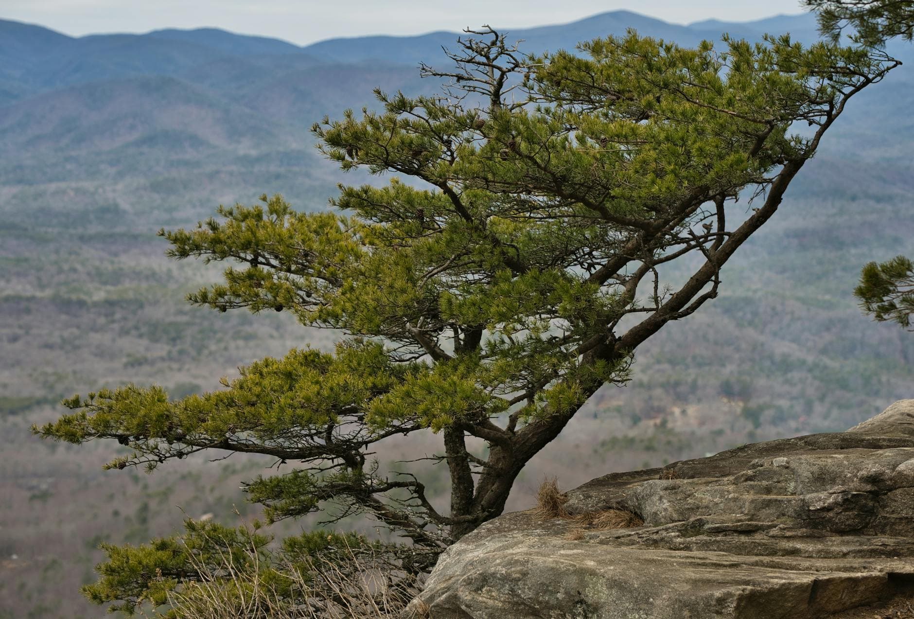 Fort Mountain SP