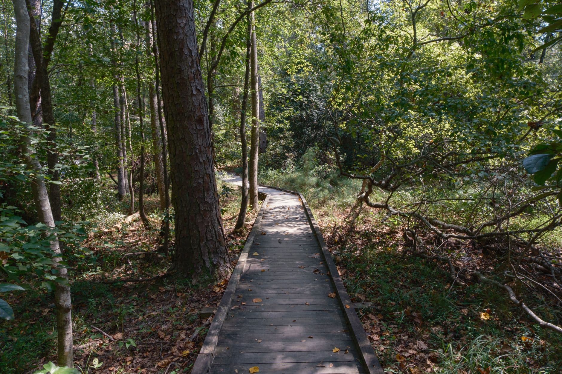 Boardwalk Loop Trail