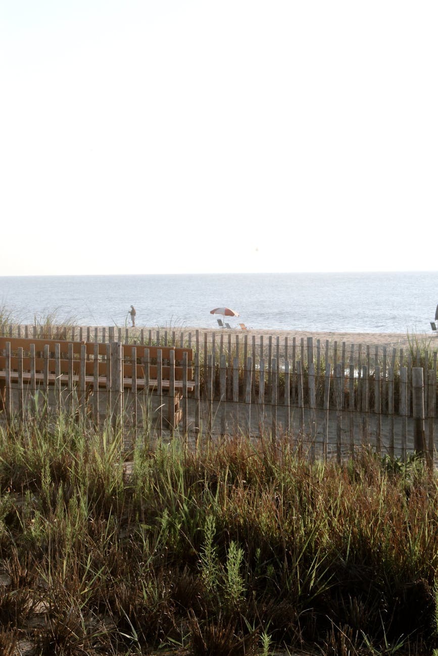 Dewey Beach (nightlife)