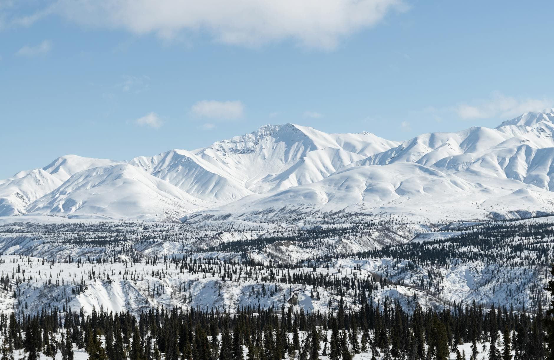 Denali (Muldrow Glacier)