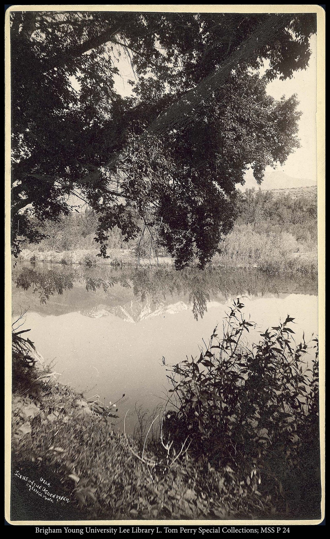 Savage River