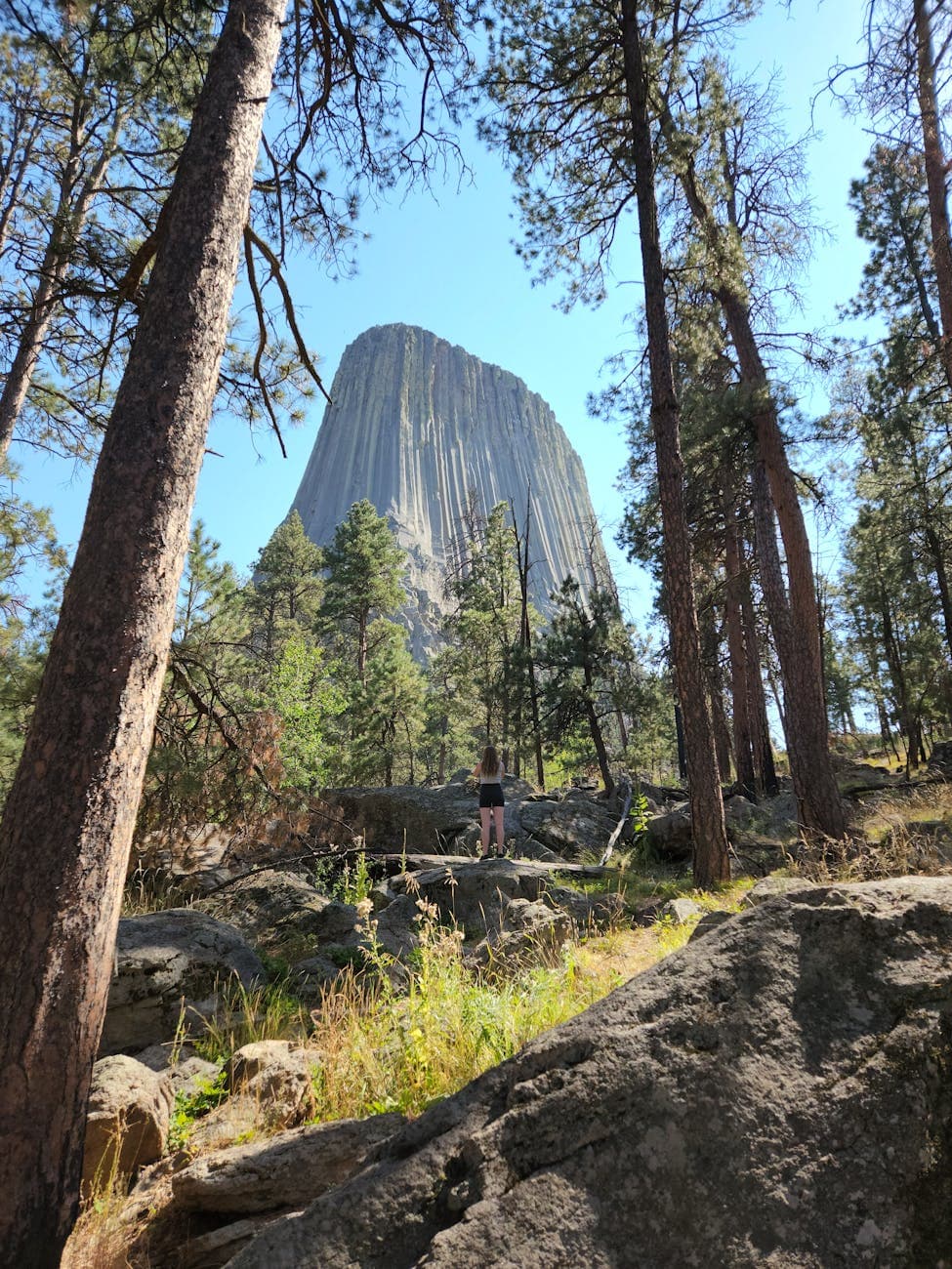 Devils Tower (Red Beds Trail, Tower Trail)